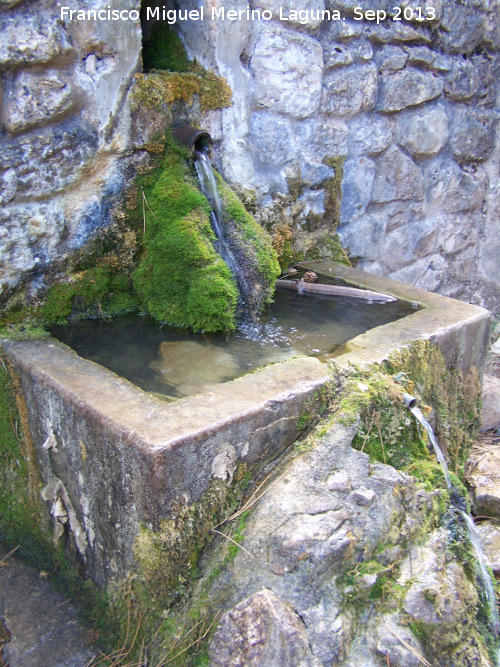 Fuente del Chorro - Fuente del Chorro. Cao