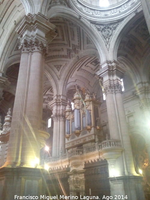 Catedral de Jan. Interior - Catedral de Jan. Interior. rgano