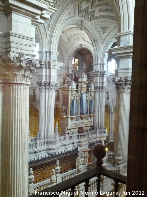 Catedral de Jan. Interior - Catedral de Jan. Interior. 