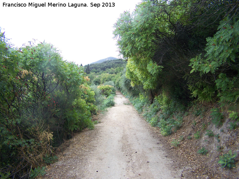 Camino de la Baizuela - Camino de la Baizuela. 