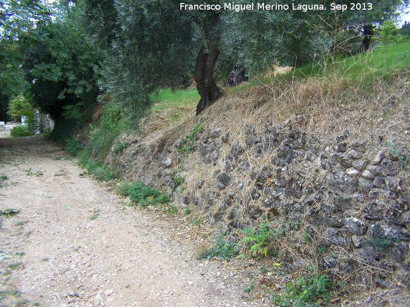 Camino de la Baizuela - Camino de la Baizuela. Muros de piedra