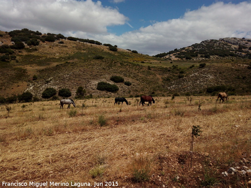 Paraje Pilar de los Potros - Paraje Pilar de los Potros. 