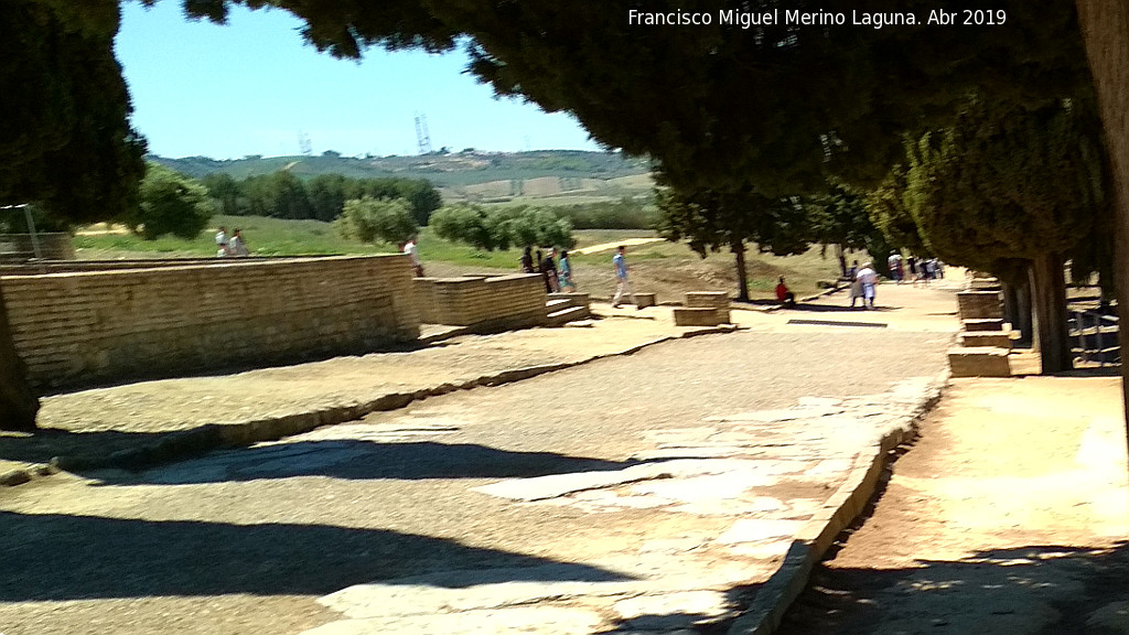 Itlica - Itlica. Calzada entre la Casa de los Pjaros y la Casa de Neptuno