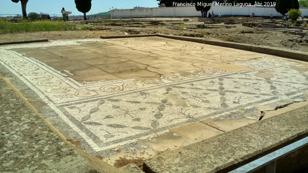 Itlica. Casa del Patio Rodio - Itlica. Casa del Patio Rodio. Mosaico