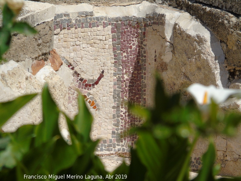 Itlica. Casa de los Pjaros - Itlica. Casa de los Pjaros. Mosaico de la fuente