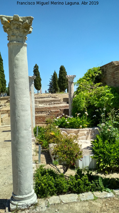 Itlica. Casa de los Pjaros - Itlica. Casa de los Pjaros. Columna