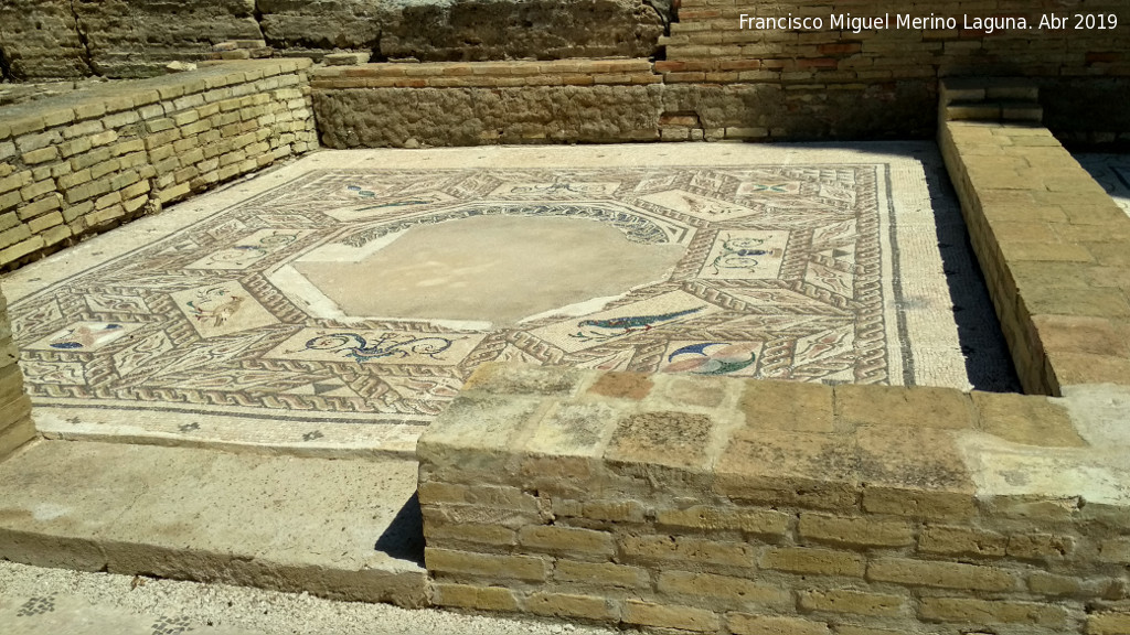 Itlica. Casa de los Pjaros - Itlica. Casa de los Pjaros. Estancia privada