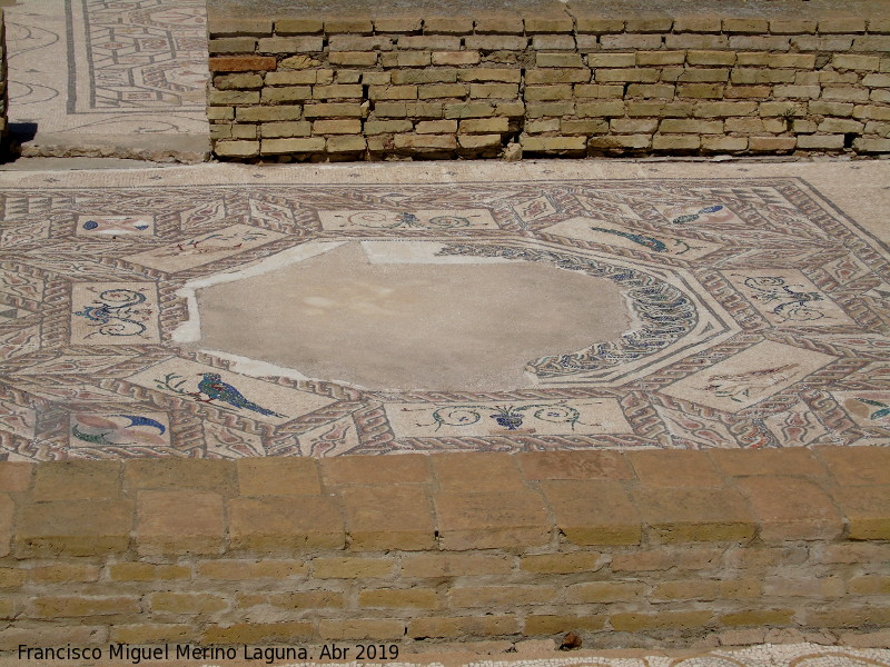 Itlica. Casa de los Pjaros - Itlica. Casa de los Pjaros. 