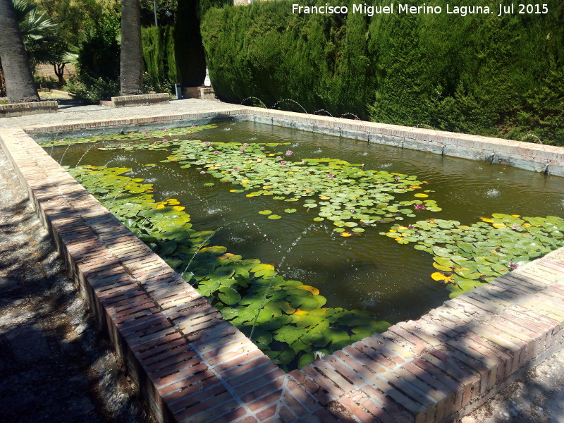 La Granja - La Granja. Estanque-fuente