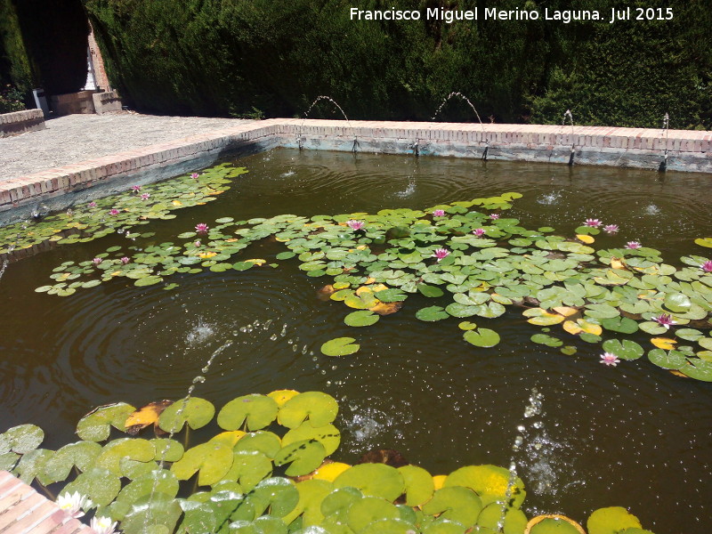 La Granja - La Granja. Estanque-fuente