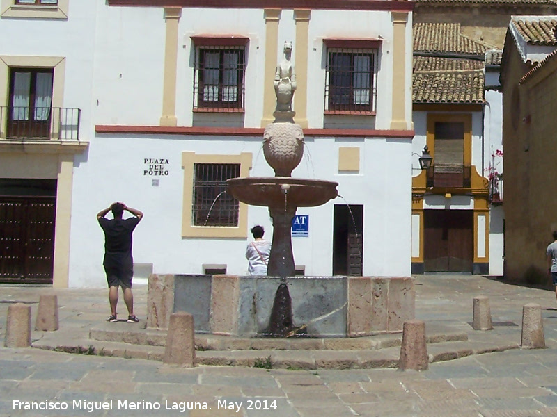 Fuente del Potro - Fuente del Potro. 