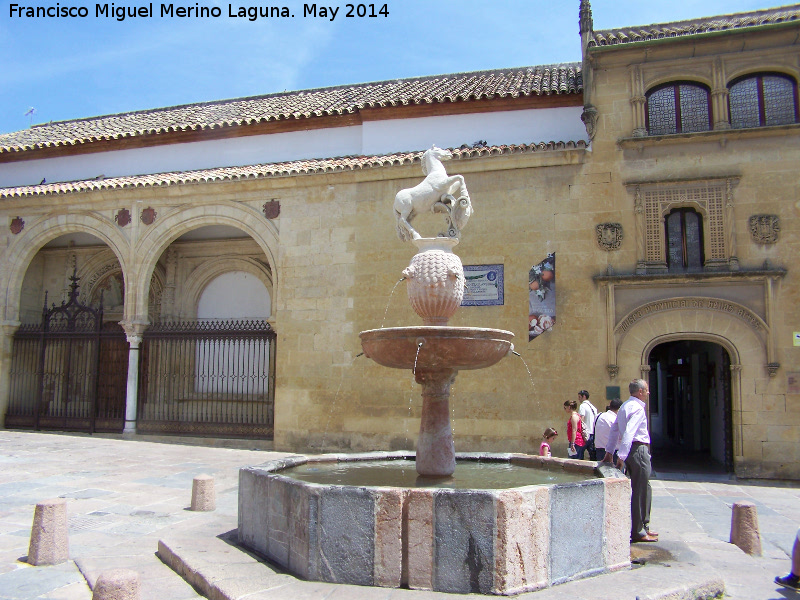 Fuente del Potro - Fuente del Potro. 