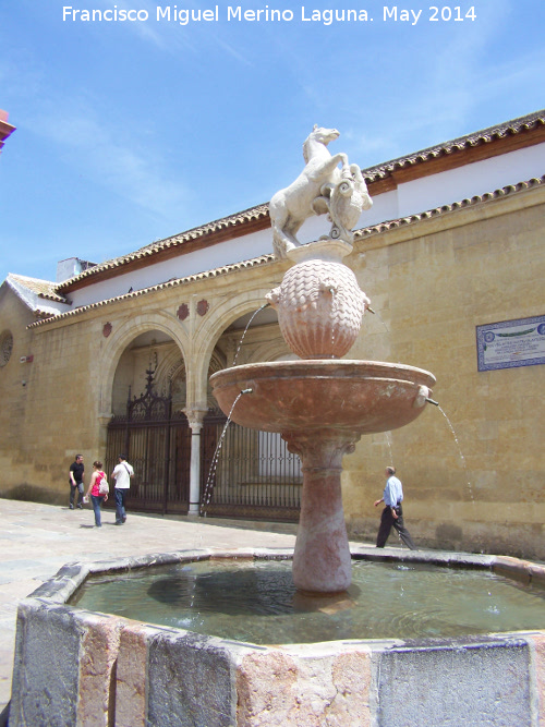 Fuente del Potro - Fuente del Potro. 