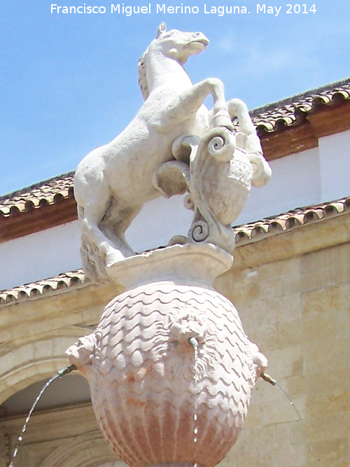 Fuente del Potro - Fuente del Potro. 