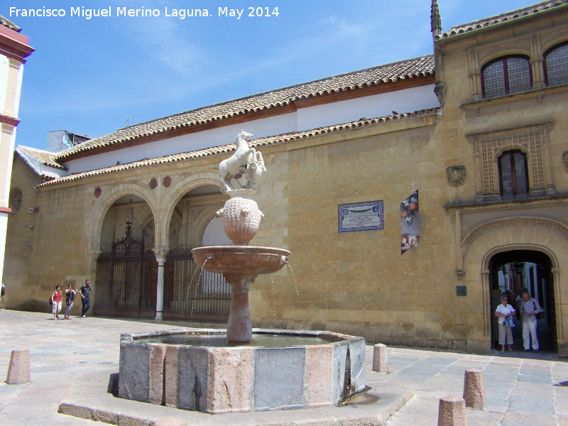 Fuente del Potro - Fuente del Potro. 