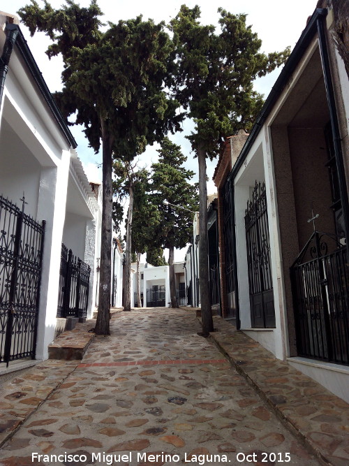 Cementerio de Martos - Cementerio de Martos. Calle