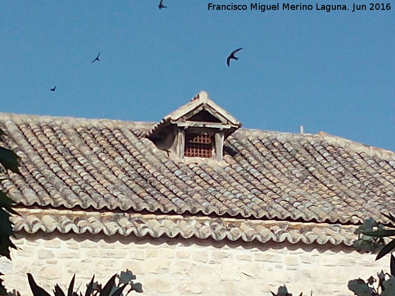 Convento de las Bernardas - Convento de las Bernardas. Mansarda