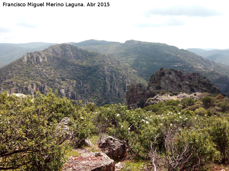 Cerro de los rganos - Cerro de los rganos. Vistas