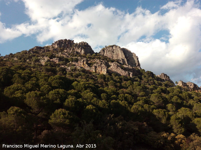 Cerro de los rganos - Cerro de los rganos. 