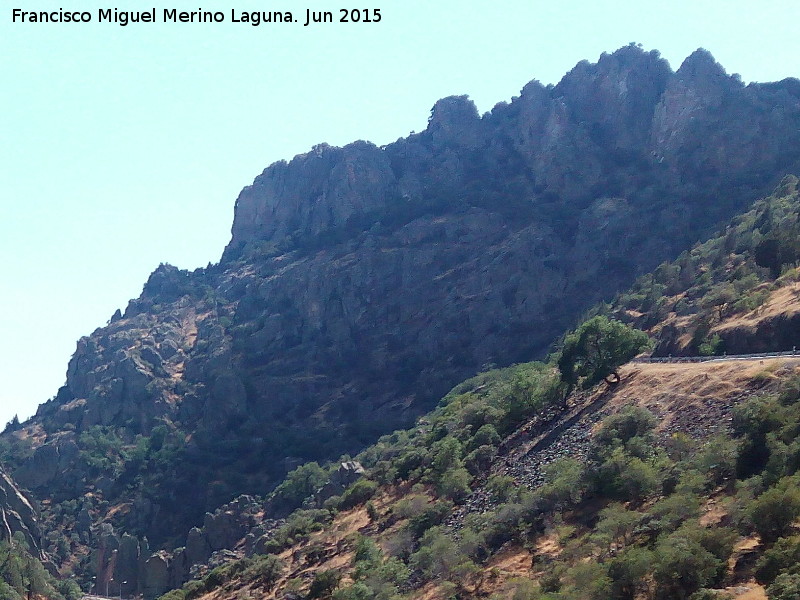 Cerro de los rganos - Cerro de los rganos. 