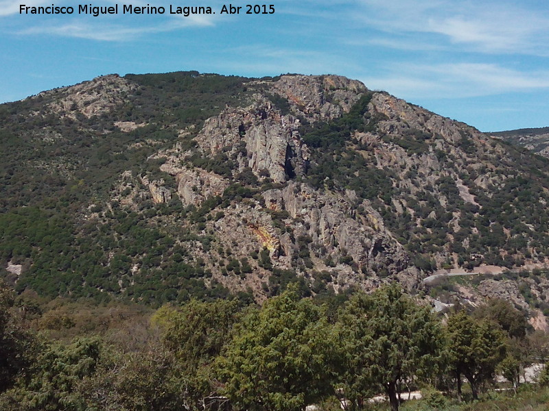 Cerro de los rganos - Cerro de los rganos. 