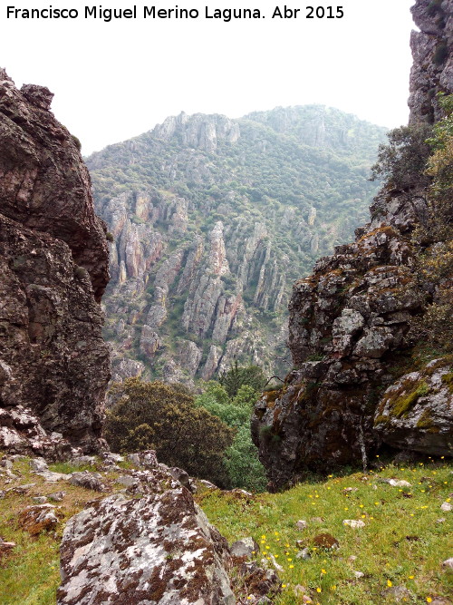 Cerro del Castillo - Cerro del Castillo. Desde el Paso de los rganos