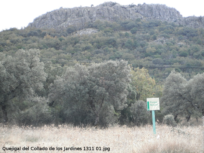 Cerro del Corzo - Cerro del Corzo. 