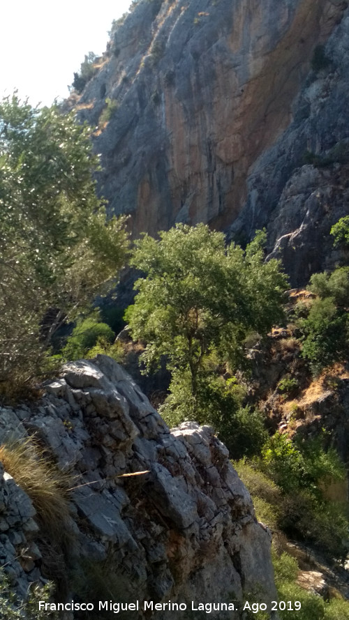 Los Caones - Los Caones. Desde la Cueva de Ro Fro