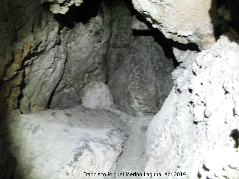 Cueva de Golliat - Cueva de Golliat. Espeleotemas de la ltima sala