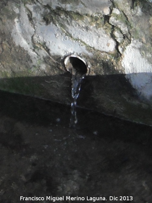 Fuente de la Virgen de la Salud - Fuente de la Virgen de la Salud. Cao