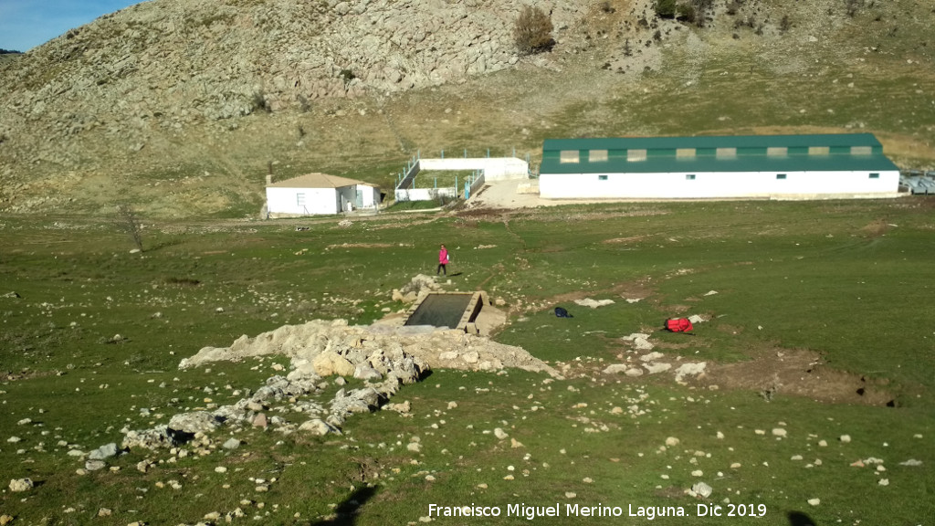 Pilar del Tejuelo - Pilar del Tejuelo. Desde el nacimiento