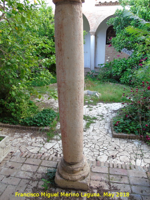 Convento de Santa rsula - Convento de Santa rsula. Columna