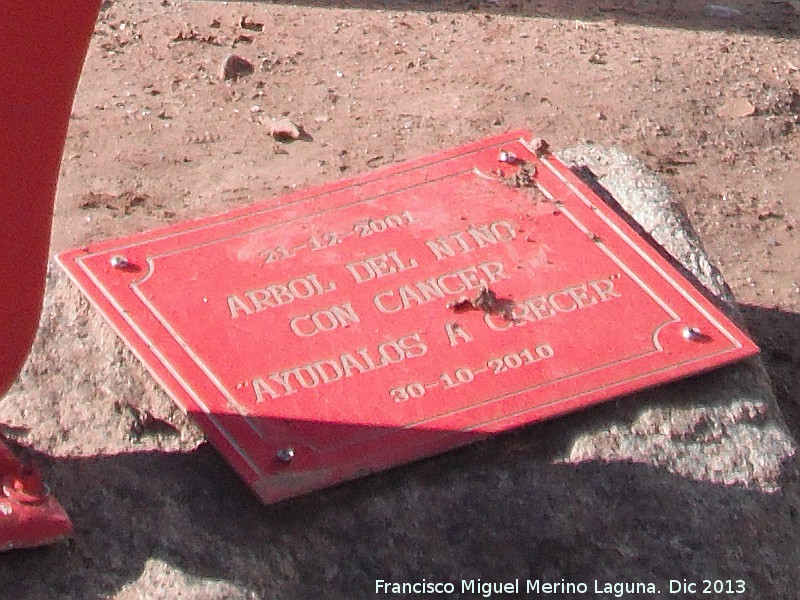 Monumento al Nio con Cancer - Monumento al Nio con Cancer. Placa