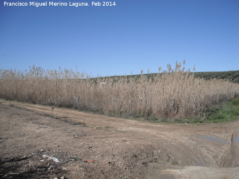 Laguna de Naranjeros - Laguna de Naranjeros. 