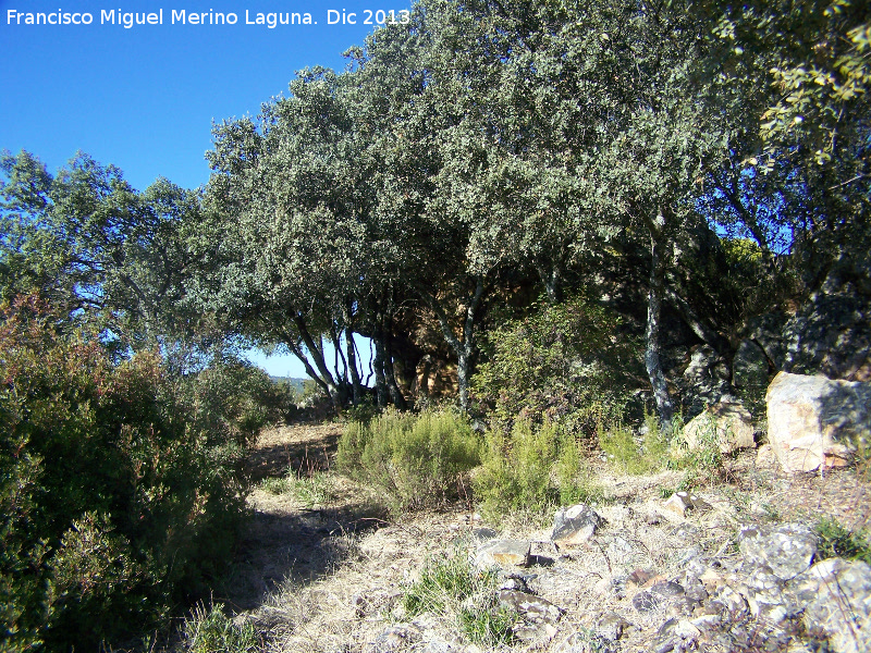 Piedra del Llano - Piedra del Llano. 