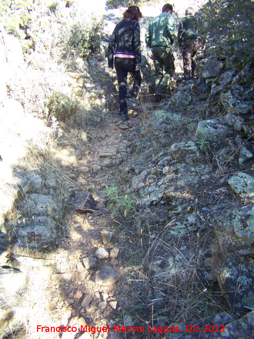 Camino de Castellar de la Mata - Camino de Castellar de la Mata. 