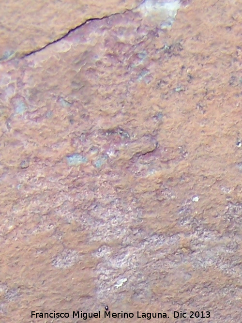 Pinturas rupestres de la Pea del guila - Pinturas rupestres de la Pea del guila. L invertida