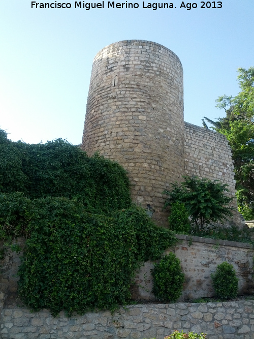 Muralla de Jan. Torren del Cao del Agua - Muralla de Jan. Torren del Cao del Agua. 