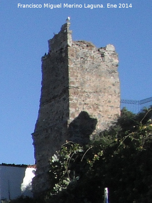 Muralla de Almucar - Muralla de Almucar. Torren