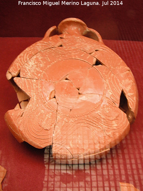 Fbrica de salazn fenicia El Majuelo - Fbrica de salazn fenicia El Majuelo. Terra sigillata. Museo Arqueolgico de Almucar