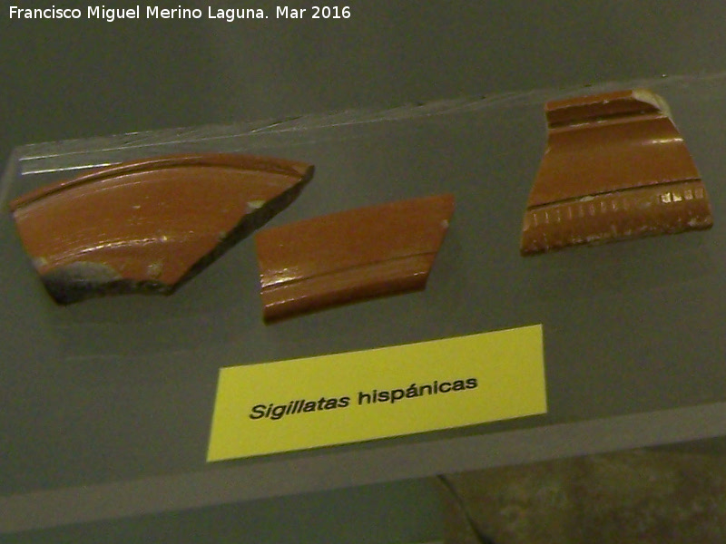 Terra sigillata hispana - Terra sigillata hispana. Museo Arqueolgico de Galera