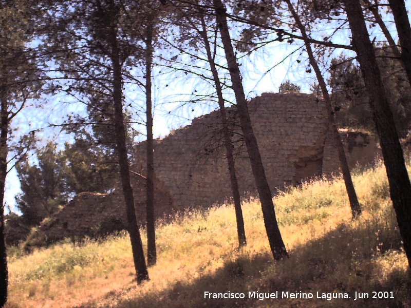 Muralla de Jan. Postigo del Carril - Muralla de Jan. Postigo del Carril. 