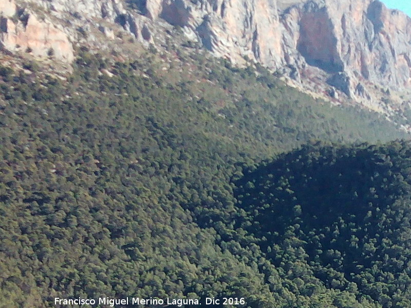 Collado del Cuchillejo - Collado del Cuchillejo. 