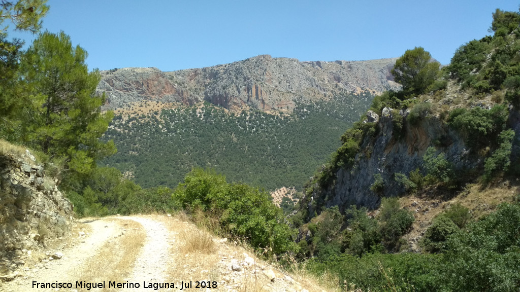 Barranco de la Manailla - Barranco de la Manailla. 