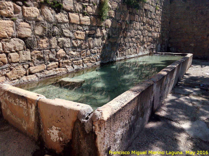 Fuente de la Pitarra - Fuente de la Pitarra. 