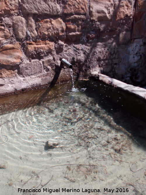 Fuente de la Pitarra - Fuente de la Pitarra. Cao