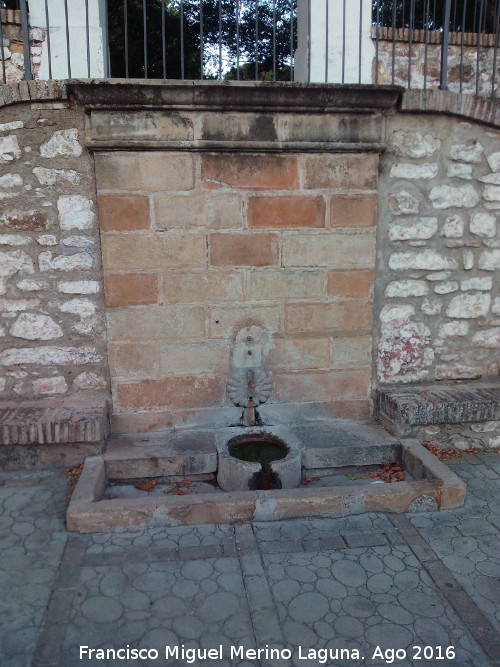 Fuente de la Yedra - Fuente de la Yedra. 