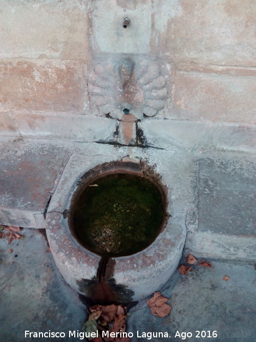 Fuente de la Yedra - Fuente de la Yedra. 