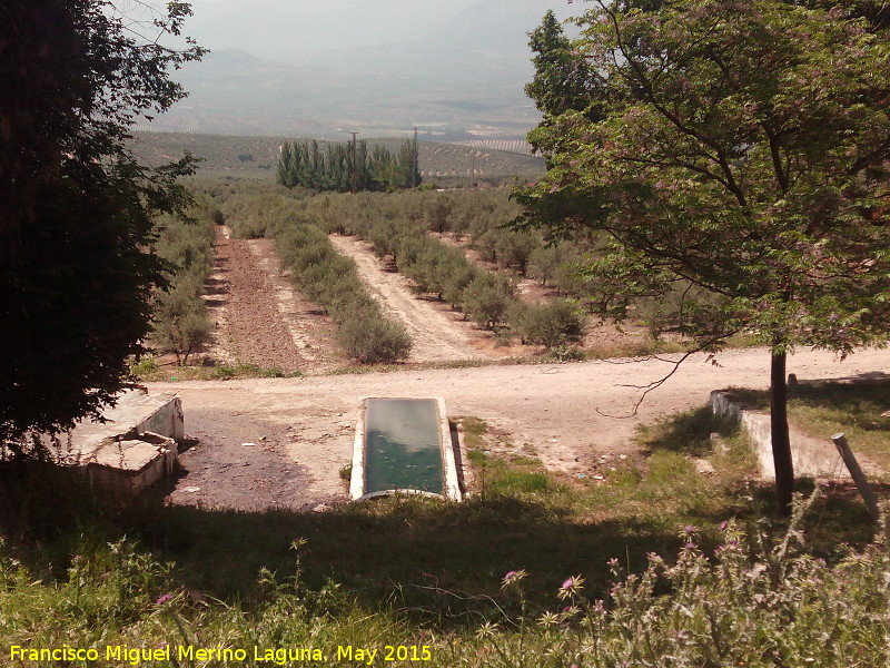 Fuente del Pilarejo - Fuente del Pilarejo. 