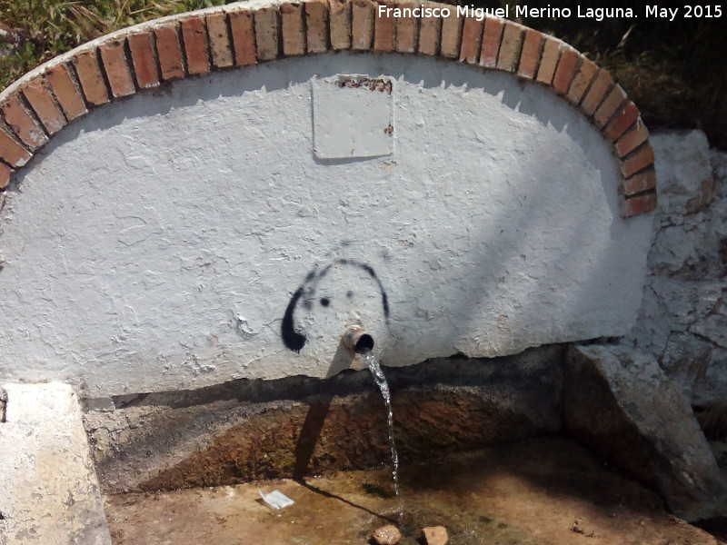 Fuente del Pilarejo - Fuente del Pilarejo. Cao